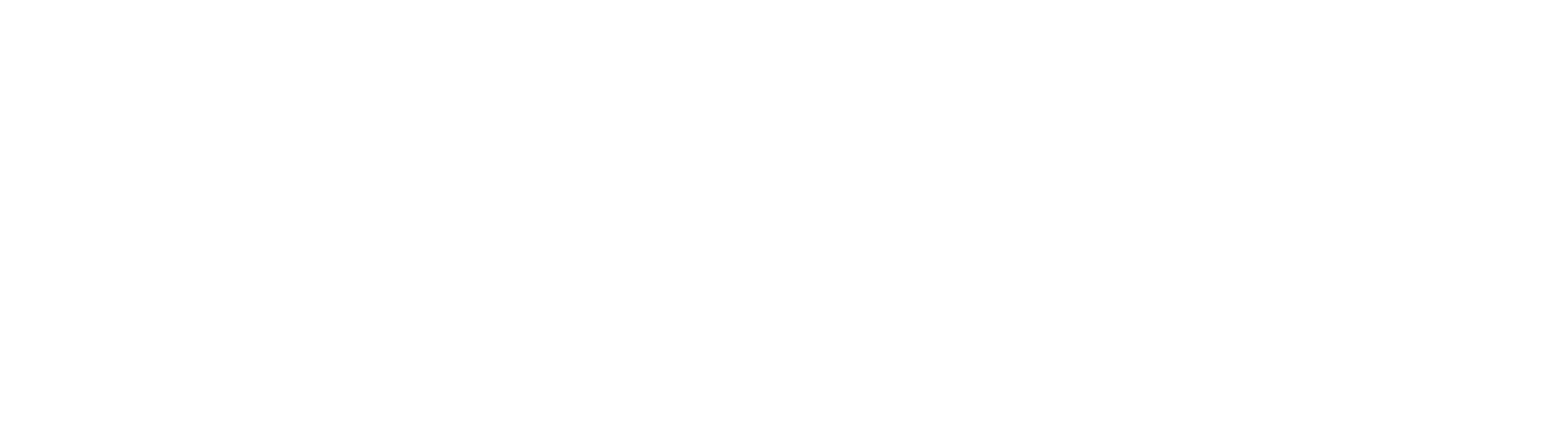 Plenmi logo